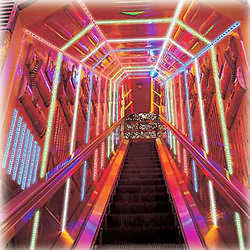 10m LED Rope Light